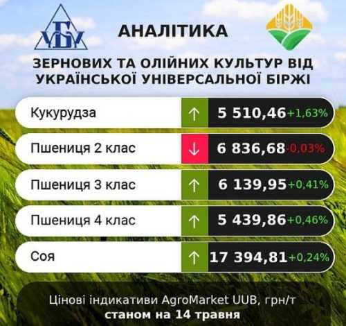 Погодні умови на росії та в Чорноморському регіоні сприяли спекулятивному росту цін на зернові