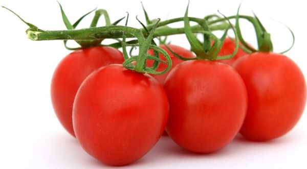 Поточного сезону ціни на помідори б’ють рекорди