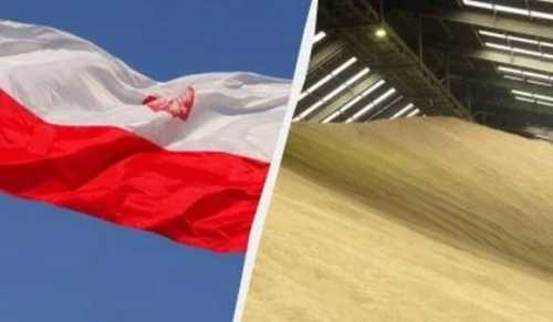 Польща ознайомиться з українським планом експорту зерна
