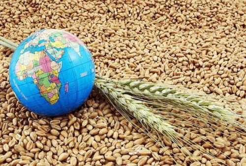 Індекс цін на продовольство ФАО в листопаді не змінився