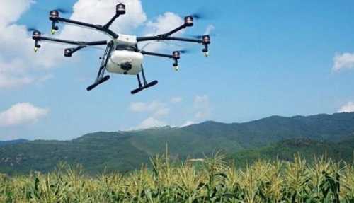 Рис в Індії будуть висівати дронами
