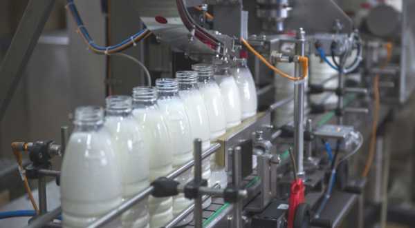 Частка «екстра» молока у переробці сягнула майже 50%