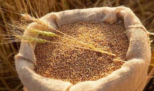 Україна до червня експортує всі перехідні залишки зернових, – Денис Марчук