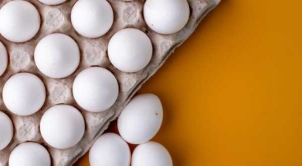 Експорт яєць зріс на 40%