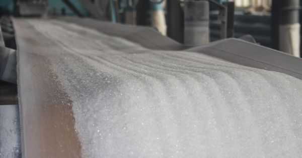 Обсяги реалізації цукру в Астарті зросли на чверть у першому півріччі 2023 року