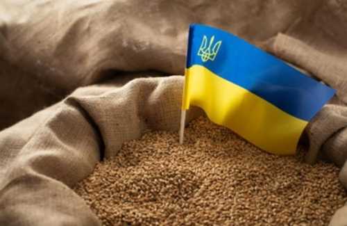 Заміна українського зерна обійдеться імпортерам занадто дорого, – Микола Горбачьов